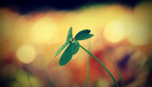 欧洲足球国家联赛战局逐渐明朗