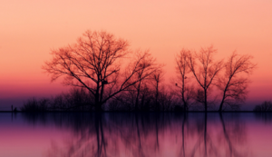 意甲豪门球队调整战术，备战下一场比赛