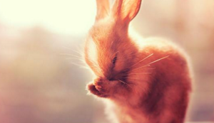 意甲豪门球队调整战术，备战下一场比赛